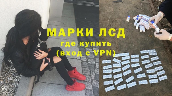 индика Каменск-Шахтинский