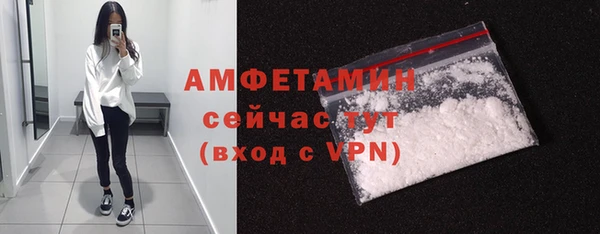 индика Каменск-Шахтинский