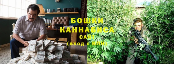индика Каменск-Шахтинский