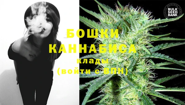 индика Каменск-Шахтинский