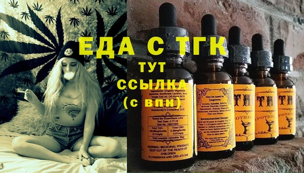 индика Каменск-Шахтинский