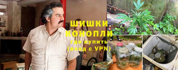 прущая мука Каменка