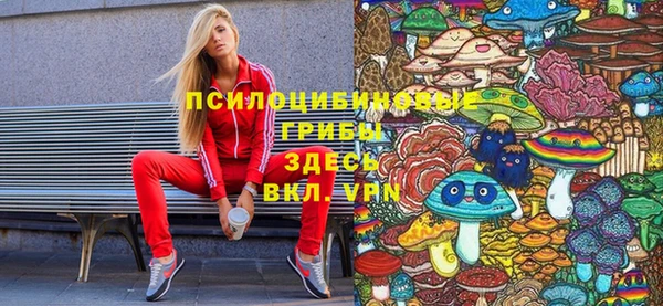 индика Каменск-Шахтинский