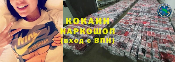индика Каменск-Шахтинский