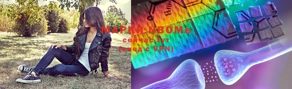 индика Каменск-Шахтинский