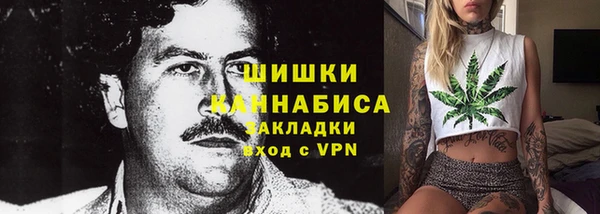 индика Каменск-Шахтинский