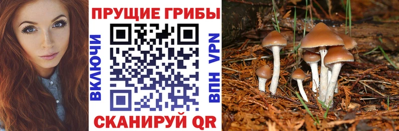 Купить где  Краснозаводск  Псилоцибиновые грибы мухоморы 